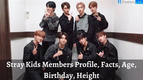 skz members height|Stray Kids members kpop profile (2024 updated)